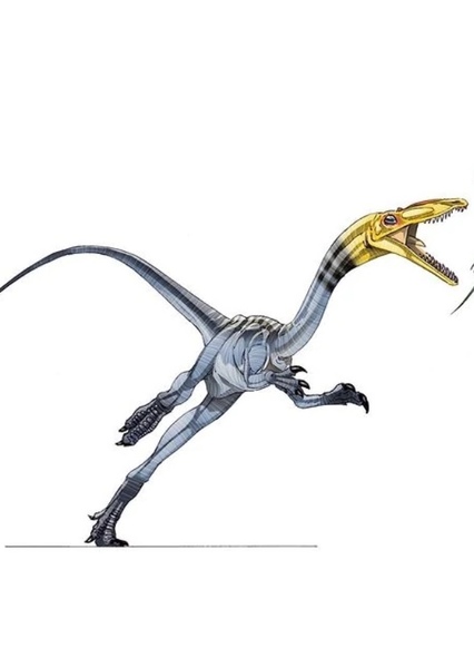 Grallator