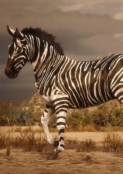 Grant's Zebra