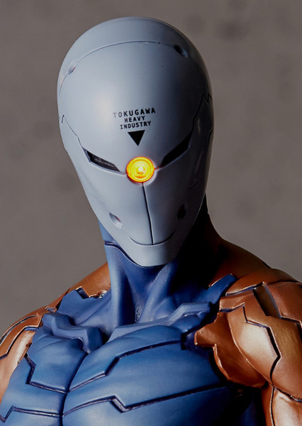 Gray Fox photo