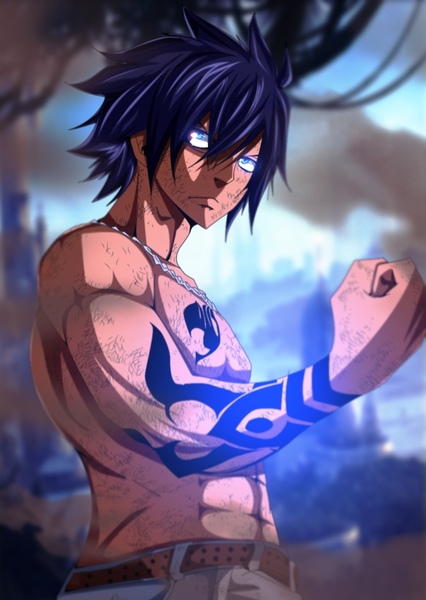 Gray Fullbuster photo