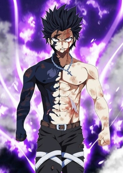 Gray Fullbuster photo
