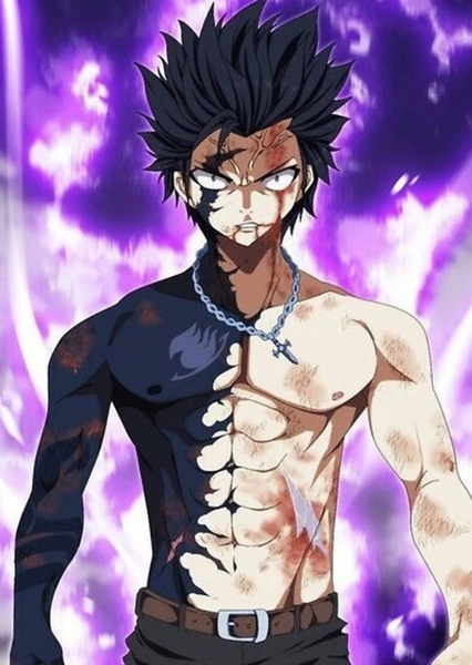 Gray Fullbuster photo