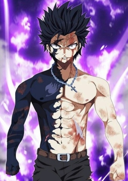 Gray Fullbuster photo