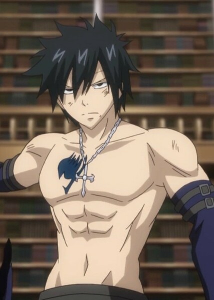 Gray Fullbuster