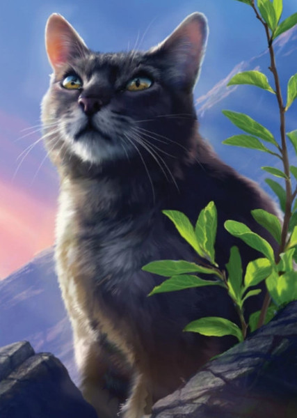 Gray Wing (Warrior Cats) photo
