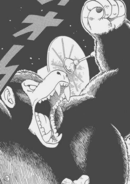 Great Ape photo