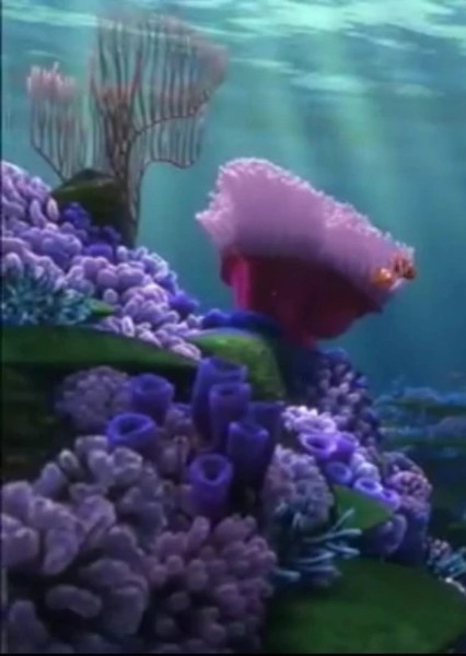 Great Barrier Reef photo
