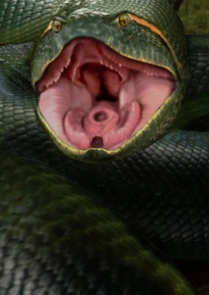 Green Anaconda photo