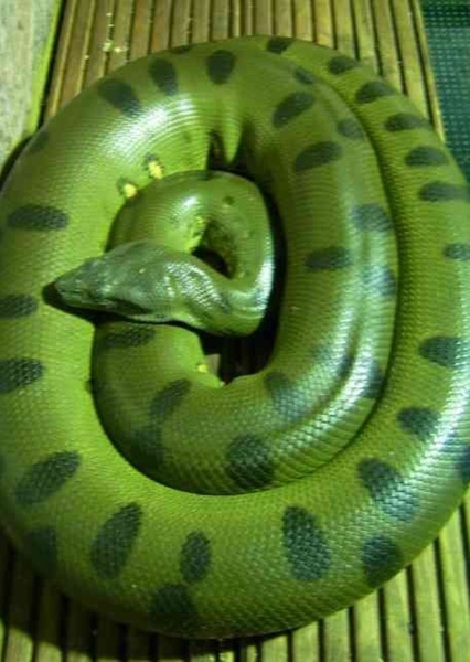 Thames Valley Wildlife Park