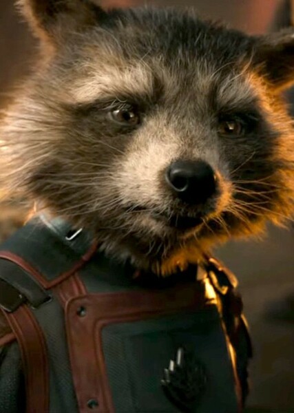 Rocket