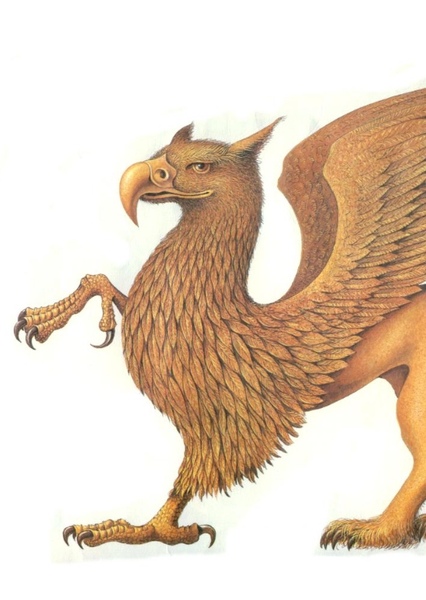Griffin photo