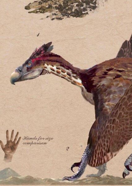 Griffin photo