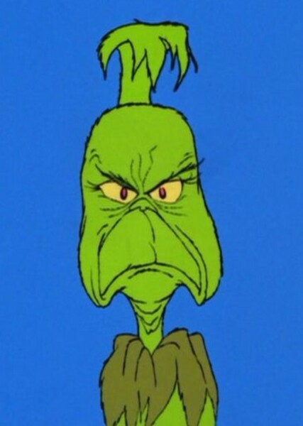 The Grinch (Character) photo