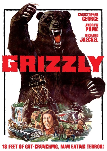 Grizzly photo