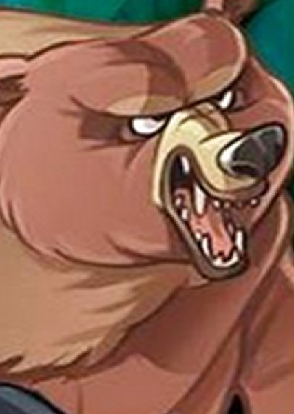 Grizzly Bear photo
