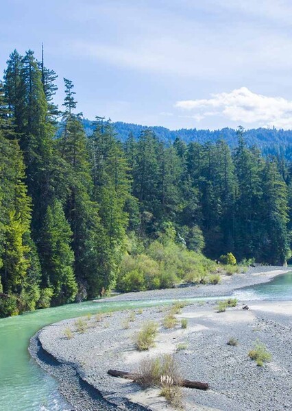 Grizzly Creek Redwoods State Park