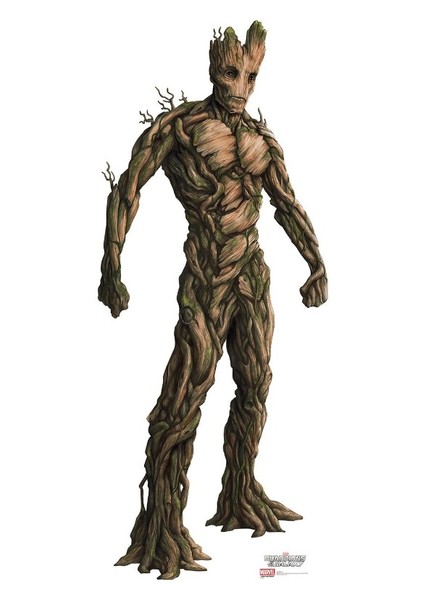 Groot photo