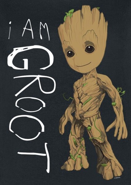 Groot photo