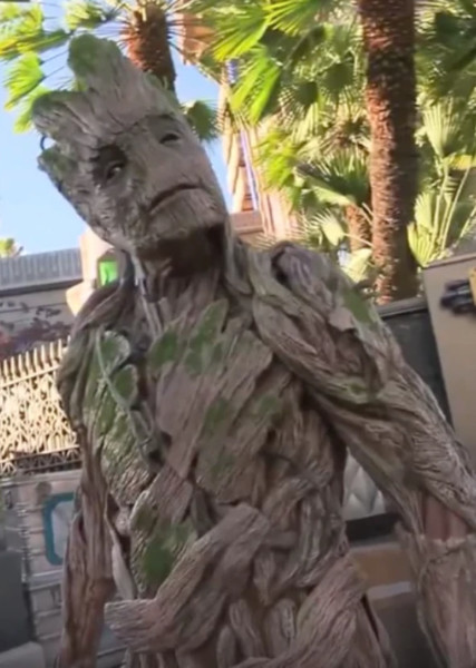 Groot (Marvel Cinematic Universe) photo