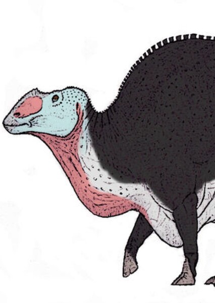 Gryposaurus photo