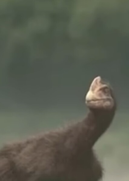 Guanlong (Life on Earth: A New Prehistory)