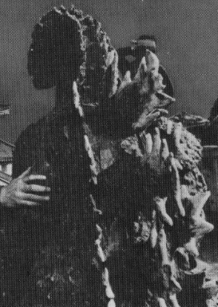GyakushuGoji photo