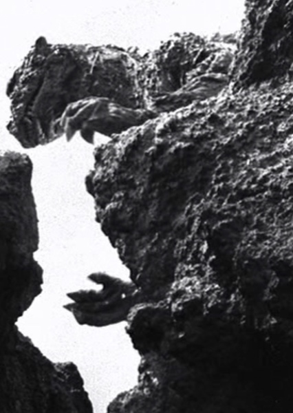 GyakushuGoji photo