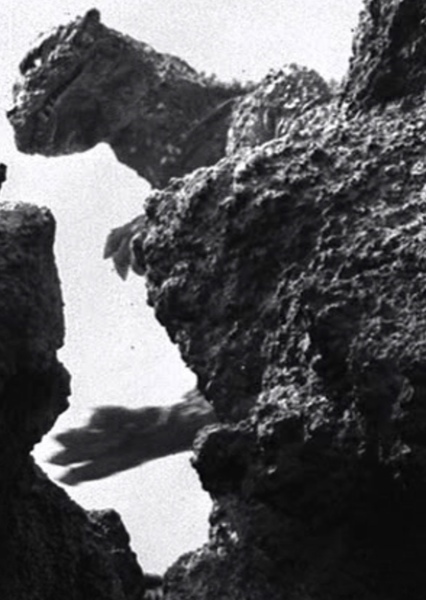 GyakushuGoji photo