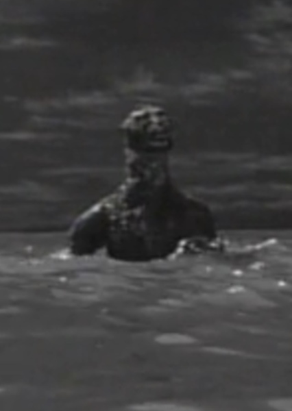 GyakushuGoji photo