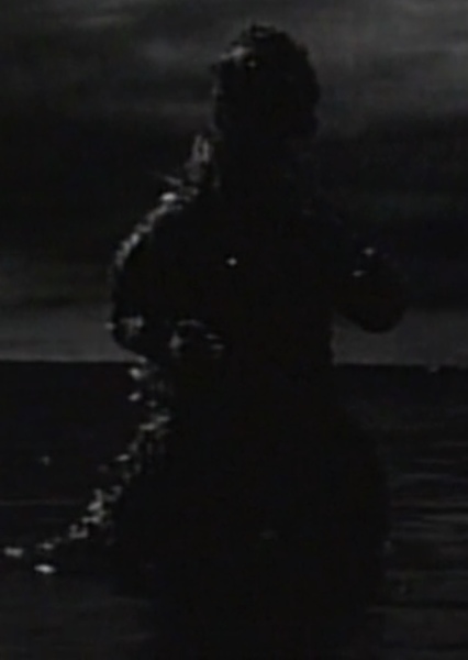 GyakushuGoji photo