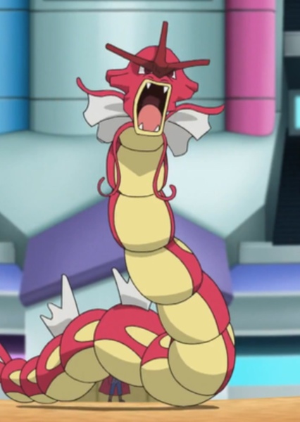 Gyarados photo