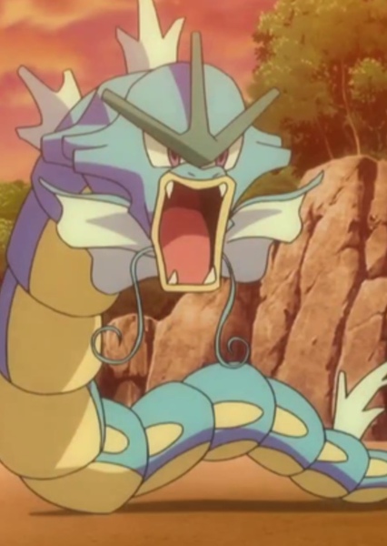 Gyarados photo