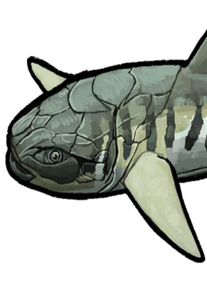 Gymnotrachelus