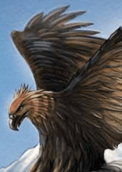 Haast's Eagle photo