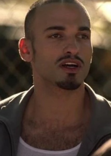Haaz Sleiman photo