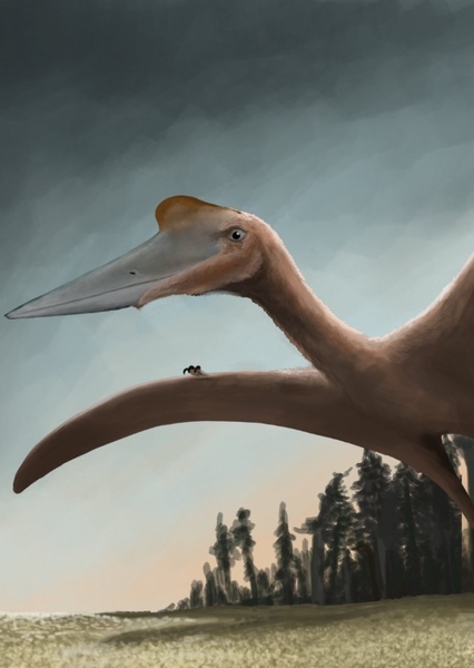 Haenamichnus