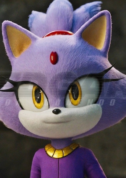 Blaze the Cat