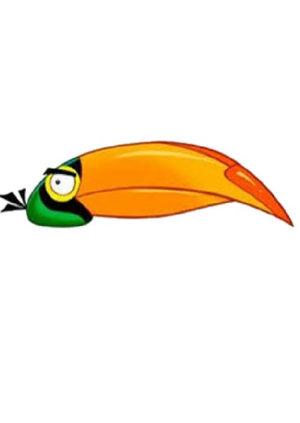 Hal (Green Boomerang Bird) photo