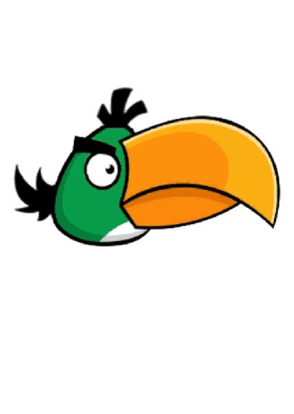 Hal (Green Boomerang Bird) photo
