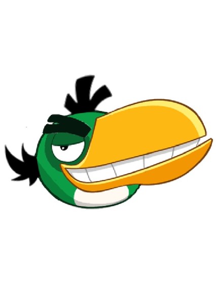 Hal (Green Boomerang Bird) photo