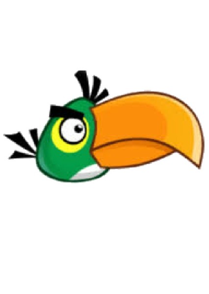 Hal (Green Boomerang Bird) photo