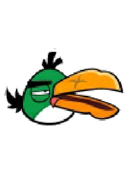 Hal (Green Boomerang Bird) photo