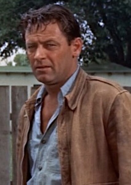 Hal Carter (Picnic)