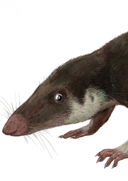 Hallautherium
