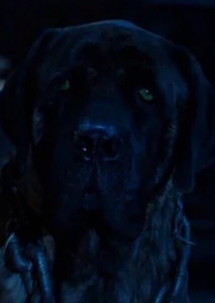 Halloween hound (Air buddies)