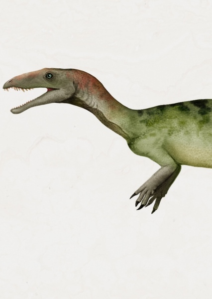 Halticosaurus