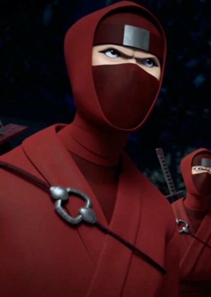 Hamato Ninja