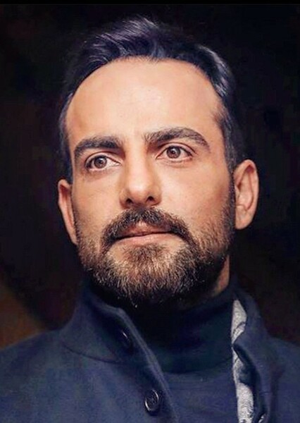 Hamed Komaily photo