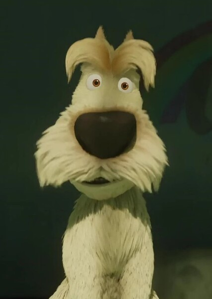 Hamish (100% Wolf) photo
