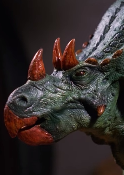 Hammer the Chasmosaurus photo